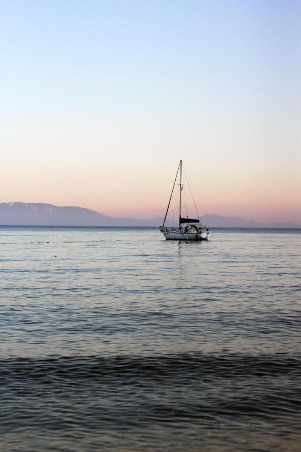 Açelya Bodrum