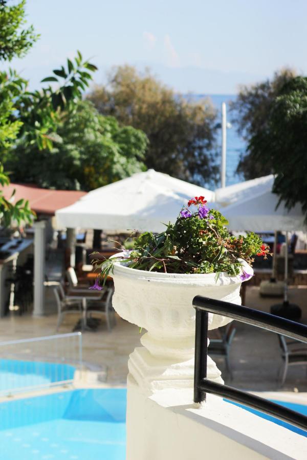 Açelya Hotel